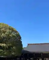 明治神宮(東京都)