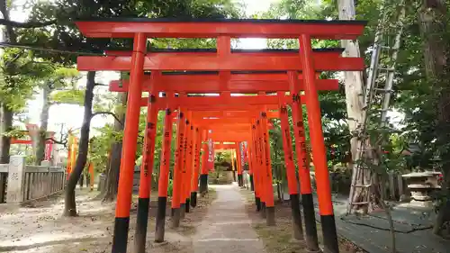 東伏見稲荷神社の鳥居