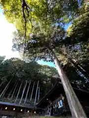 子檀嶺神社(長野県)