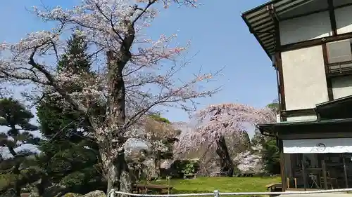 木幡山隠津島神社(二本松市)の自然