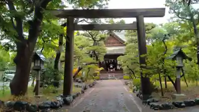 新潟大神宮の鳥居
