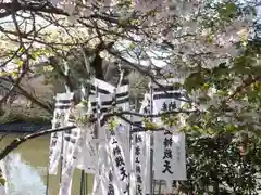 鶴岡八幡宮の庭園