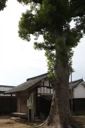 鏡作麻気神社(奈良県)
