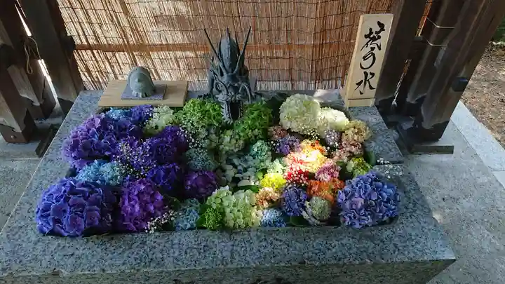 札幌諏訪神社の手水舎