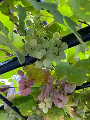 菊名神社(神奈川県)