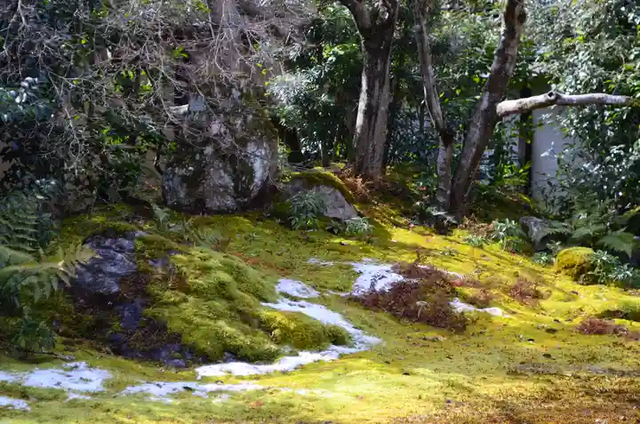 清凉寺(京都府)