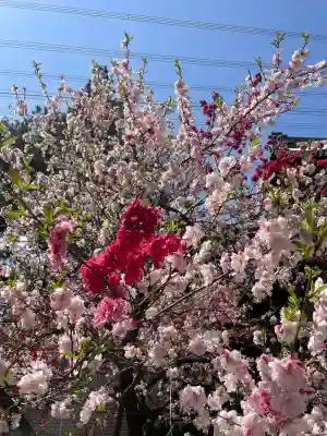 市原稲荷神社(愛知県)
