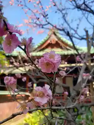 赤坂氷川神社(東京都)