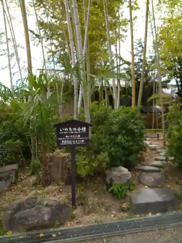 大安寺(奈良県)