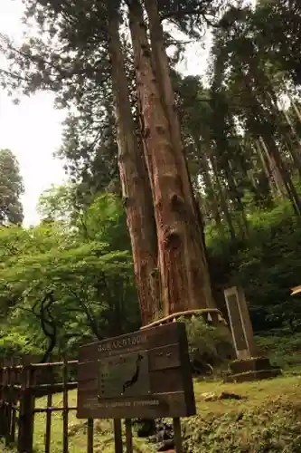 御岩神社の自然