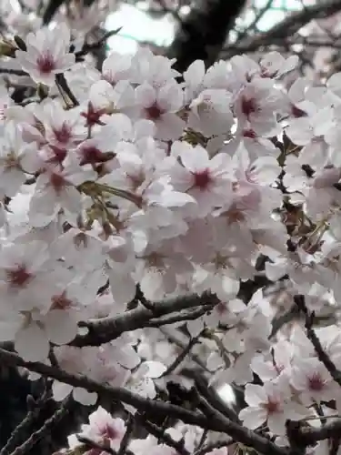 石水寺(熊本県)