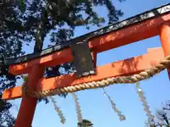 吉田神社の鳥居