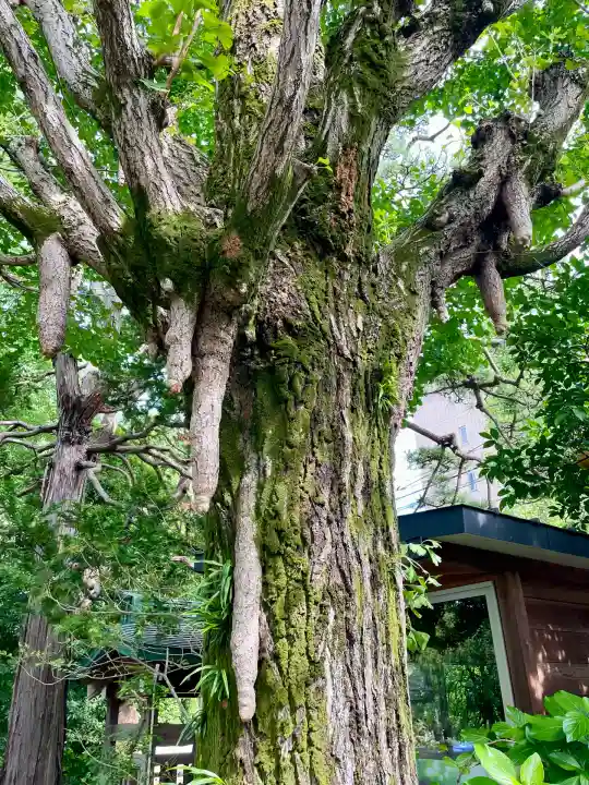 大吉稲荷(東京都)