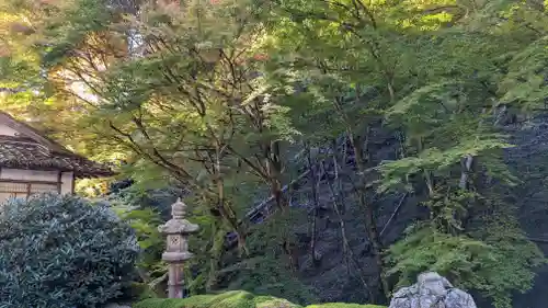 古知谷阿弥陀寺(京都府)