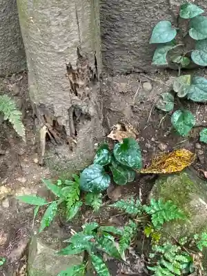 伊豆山神社(静岡県)