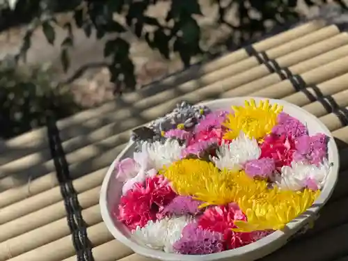 徳星寺(埼玉県)