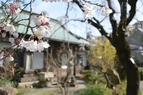 常在寺の本殿