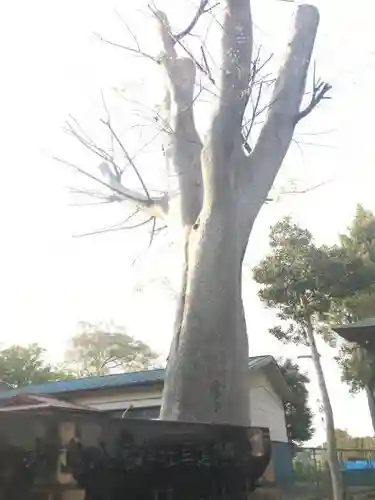 八幡神社のその他建物