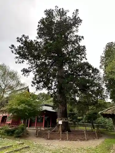 志波彦神社・鹽竈神社(宮城県)