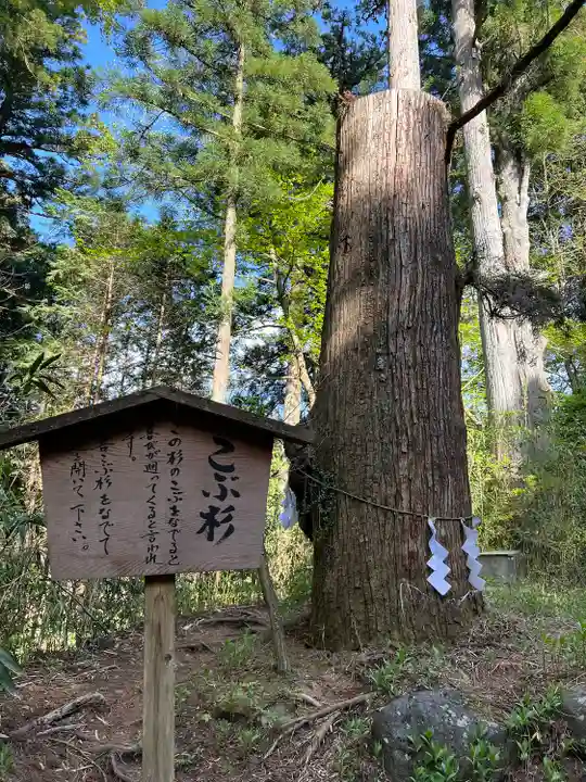 本宮神社(日光二荒山神社別宮)(栃木県)