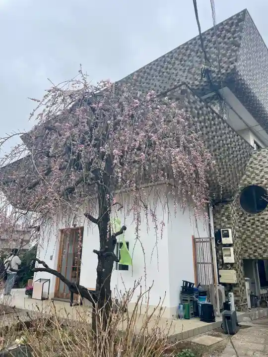 法輪寺の{uncategorized: "未分類", other: "その他", undefined: "問題あり", building: "その他建物", grave: "お墓", sacred_gate: "鳥居", guardian: "狛犬", statue: "像", buddha: "仏像", history: "歴史", nature: "自然", garden: "庭園", animal: "動物", pagoda: "塔", temizu: "手水舎", mountain_gate: "山門・神門", sanctuary: "本殿・本堂", subordinate: "末社・摂社", art: "芸術", scenery: "景色", jizo: "地蔵", ema: "絵馬", goshuin: "御朱印", omikuji: "おみくじ", items: "授与品その他", amulet: "お守り", goshuincho: "御朱印帳", eats: "食事", festival: "お祭り", votive_dance: "神楽", shichigosan: "七五三参", wedding: "結婚式", experience: "体験その他", initially: "初詣", around: "周辺", anti_infection: "感染症対策"}