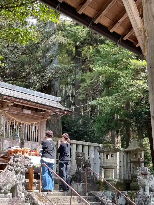天鷹神社(岐阜県)