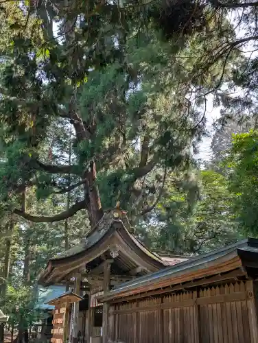 若狭姫神社（若狭彦神社下社）の{uncategorized: "未分類", other: "その他", undefined: "問題あり", building: "その他建物", grave: "お墓", sacred_gate: "鳥居", guardian: "狛犬", statue: "像", buddha: "仏像", history: "歴史", nature: "自然", garden: "庭園", animal: "動物", pagoda: "塔", temizu: "手水舎", mountain_gate: "山門・神門", sanctuary: "本殿・本堂", subordinate: "末社・摂社", art: "芸術", scenery: "景色", jizo: "地蔵", ema: "絵馬", goshuin: "御朱印", omikuji: "おみくじ", items: "授与品その他", amulet: "お守り", goshuincho: "御朱印帳", eats: "食事", festival: "お祭り", votive_dance: "神楽", shichigosan: "七五三参", wedding: "結婚式", experience: "体験その他", initially: "初詣", around: "周辺", anti_infection: "感染症対策"}