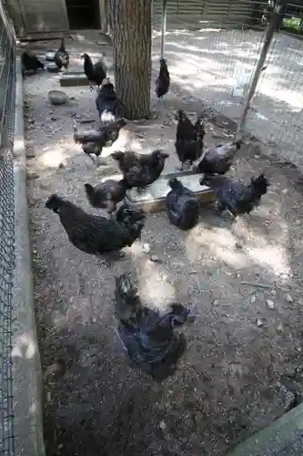 身曾岐神社(山梨県)