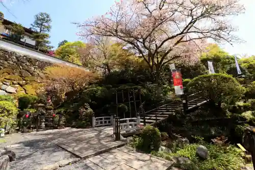 岡寺（龍蓋寺）(奈良県)