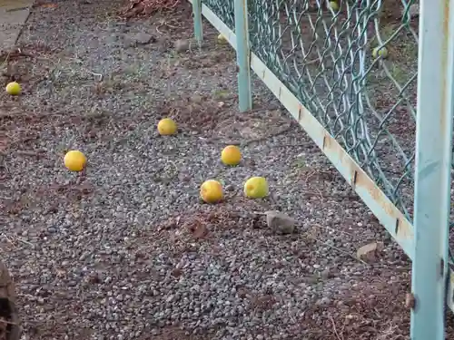 豊受大神の自然