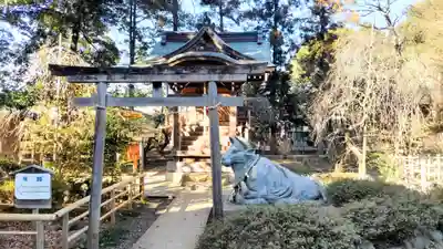 白岡八幡神社(埼玉県)