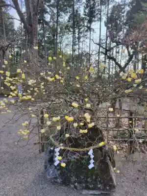 芳賀天満宮(栃木県)