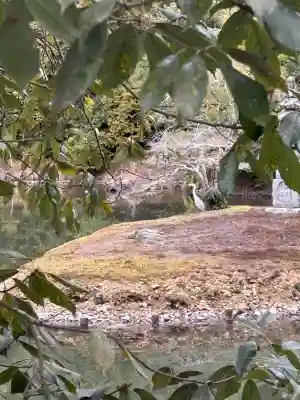 鹿苑寺（金閣寺）の{uncategorized: "未分類", other: "その他", undefined: "問題あり", building: "その他建物", grave: "お墓", sacred_gate: "鳥居", guardian: "狛犬", statue: "像", buddha: "仏像", history: "歴史", nature: "自然", garden: "庭園", animal: "動物", pagoda: "塔", temizu: "手水舎", mountain_gate: "山門・神門", sanctuary: "本殿・本堂", subordinate: "末社・摂社", art: "芸術", scenery: "景色", jizo: "地蔵", ema: "絵馬", goshuin: "御朱印", omikuji: "おみくじ", items: "授与品その他", amulet: "お守り", goshuincho: "御朱印帳", eats: "食事", festival: "お祭り", votive_dance: "神楽", shichigosan: "七五三参", wedding: "結婚式", experience: "体験その他", initially: "初詣", around: "周辺", anti_infection: "感染症対策"}