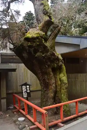 箱根神社(神奈川県)