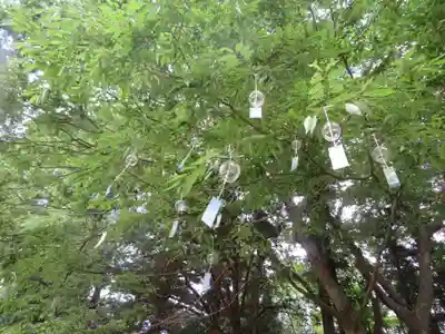 三春大神宮(福島県)