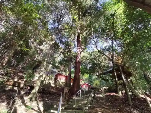 白石神社(京都府)