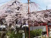 豊中不動寺(豊中不動尊)(大阪府)