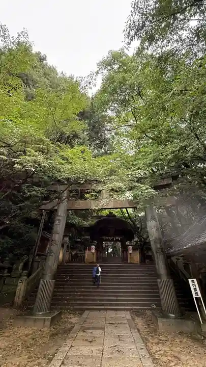 金刀比羅宮(香川県)
