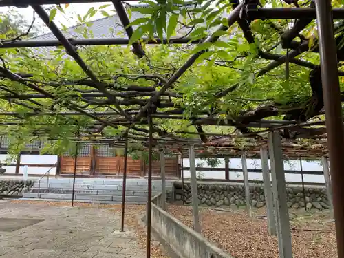 長泉寺(埼玉県)