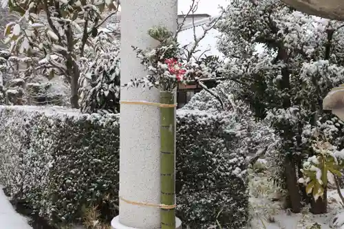 豊景神社の初詣