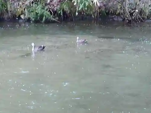 戸ノ口堰水神社(福島県)