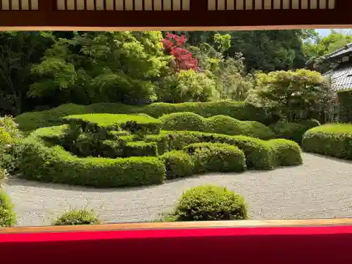 大池寺の{uncategorized: "未分類", other: "その他", undefined: "問題あり", building: "その他建物", grave: "お墓", sacred_gate: "鳥居", guardian: "狛犬", statue: "像", buddha: "仏像", history: "歴史", nature: "自然", garden: "庭園", animal: "動物", pagoda: "塔", temizu: "手水舎", mountain_gate: "山門・神門", sanctuary: "本殿・本堂", subordinate: "末社・摂社", art: "芸術", scenery: "景色", jizo: "地蔵", ema: "絵馬", goshuin: "御朱印", omikuji: "おみくじ", items: "授与品その他", amulet: "お守り", goshuincho: "御朱印帳", eats: "食事", festival: "お祭り", votive_dance: "神楽", shichigosan: "七五三参", wedding: "結婚式", experience: "体験その他", initially: "初詣", around: "周辺", anti_infection: "感染症対策"}