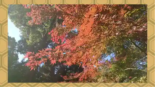 阿佐ヶ谷神明宮(東京都)