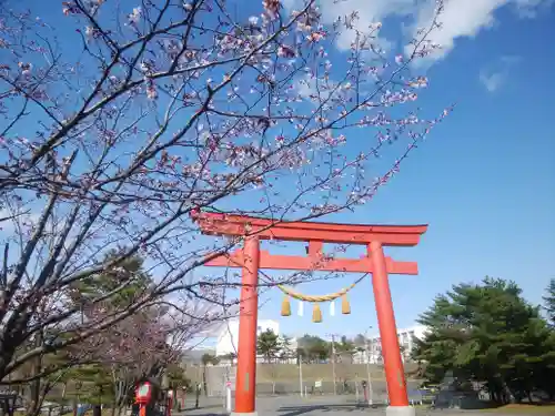 樽前山神社の鳥居