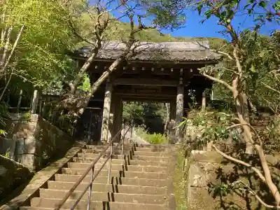 黄梅院（円覚寺塔頭）の{uncategorized: "未分類", other: "その他", undefined: "問題あり", building: "その他建物", grave: "お墓", sacred_gate: "鳥居", guardian: "狛犬", statue: "像", buddha: "仏像", history: "歴史", nature: "自然", garden: "庭園", animal: "動物", pagoda: "塔", temizu: "手水舎", mountain_gate: "山門・神門", sanctuary: "本殿・本堂", subordinate: "末社・摂社", art: "芸術", scenery: "景色", jizo: "地蔵", ema: "絵馬", goshuin: "御朱印", omikuji: "おみくじ", items: "授与品その他", amulet: "お守り", goshuincho: "御朱印帳", eats: "食事", festival: "お祭り", votive_dance: "神楽", shichigosan: "七五三参", wedding: "結婚式", experience: "体験その他", initially: "初詣", around: "周辺", anti_infection: "感染症対策"}