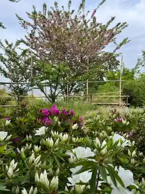 石清水八幡宮(京都府)