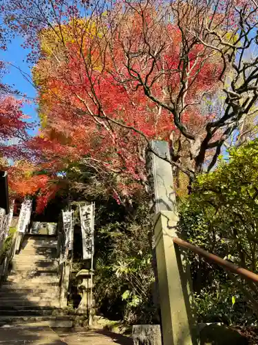 杉本寺のその他建物