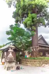 國魂神社の庭園