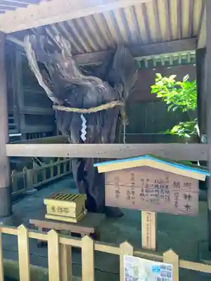 鶴嶺八幡宮(神奈川県)