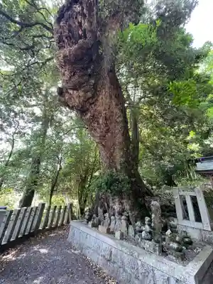津島神社(岐阜県)